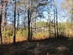 Photo of Mobile Home Lot