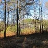 Photo of Mobile Home Lot