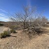 Photo of Mobile Home Lot