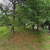 Mobile Home for Sale: 3 Bed 2 Bath 1996 Mobile Home