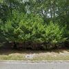 Mobile Home for Sale: 3 Bed 2.5 Bath 1995 Mobile Home