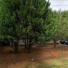 Mobile Home for Sale: 4 Bed 2 Bath 1997 Mobile Home