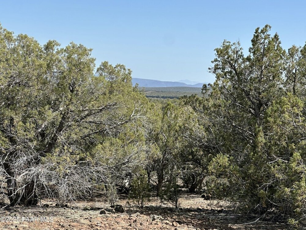 Photo of Mobile Home Lot