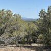 Mobile Home Lot for Sale: Mobile Home - Williams, AZ, Williams, AZ