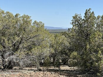 Thumbnail of mobile home lot