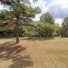 Mobile Home for Sale: 3 Bed 2 Bath 2003 Mobile Home