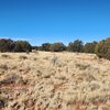 Photo of Mobile Home Lot