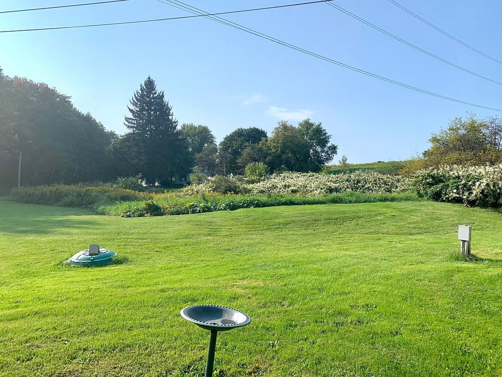 Photo 8