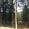 Mobile Home for Sale: Mobile Home