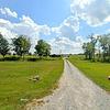 Mobile Home for Sale: 3 Bed 2 Bath 2000 Mobile Home