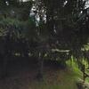 Mobile Home for Sale: 2 Bed 2 Bath 1995 Mobile Home