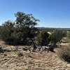 Photo of Mobile Home Lot