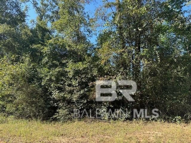 Photo of Mobile Home Lot