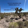 Mobile Home Lot for Sale: Manufactured Home - White Hills, AZ, White Hills, AZ