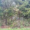 Mobile Home for Sale: 3 Bed 2 Bath 2001 Mobile Home