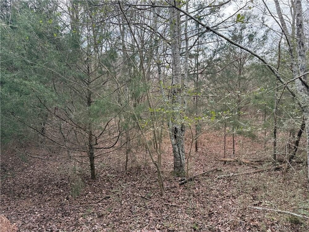 Photo of Mobile Home Lot