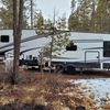 RV for Sale: 2020 Wildcat