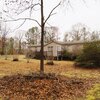 Mobile Home for Sale: Mobile Home, House (Detached) - Coffeeville, AL, Coffeeville, AL