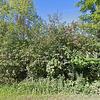 Mobile Home for Sale: 1998 Mobile Home