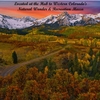 Located at the Heart of Western Colorado's Natural Wonder & Recreation Mecca
