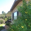 Rental home