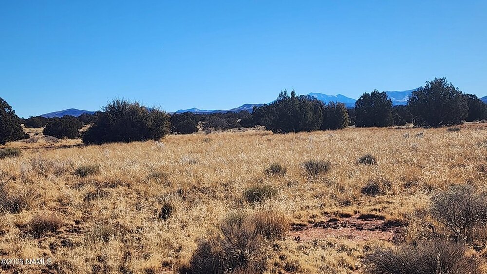 Photo of Mobile Home Lot