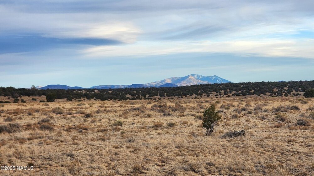 Photo of Mobile Home Lot