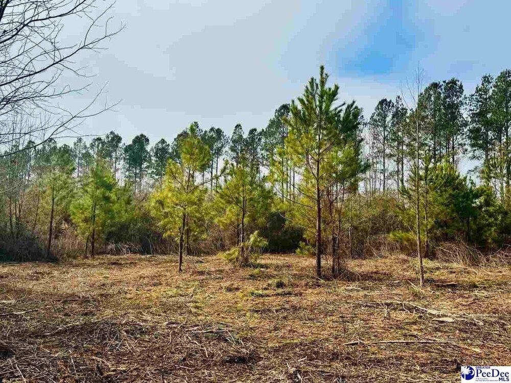 Photo of Mobile Home Lot
