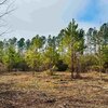 Mobile Home Lot for Sale: Lot-Mobile Home - Bennettsville, SC, Bennettsville, SC