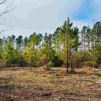 Photo of Mobile Home Lot
