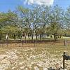 Mobile Home for Sale: 1989 Mobile Home
