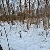 Photo of Mobile Home Lot