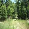 Photo of Mobile Home Lot