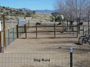 Dog Run