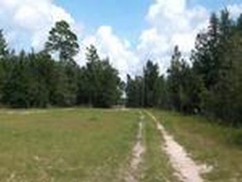 Photo of Mobile Home Lot