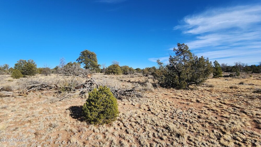 Photo of Mobile Home Lot