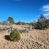 Photo of Mobile Home Lot