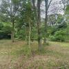 Mobile Home for Sale: Mobile Home