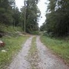 Mobile Home Lot for Sale: 0.52 acre Lot