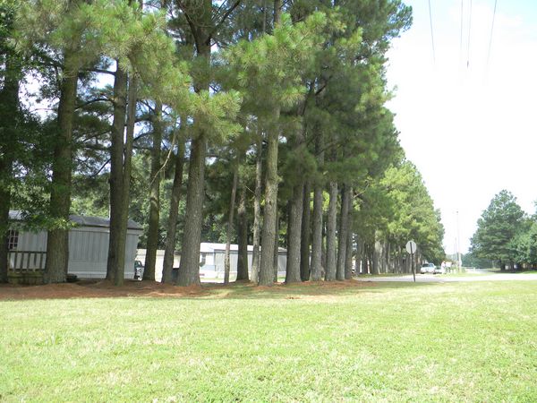 Front of Park