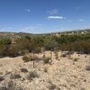 Photo of Mobile Home Lot