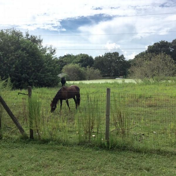Photo of Mobile Home Park