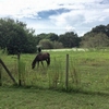 Photo of Mobile Home Park