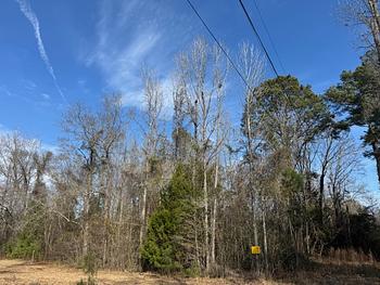 Photo of Unimproved Lot Close to Downtown Area! No Credit Check!