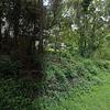 Mobile Home for Sale: Mobile Home