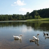 Even the ducks and geese love it here!