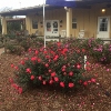 RV Park: Magnolia Farms RV Park, Foley, AL