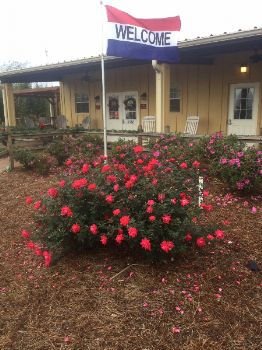 Photo of RV Park/Campground