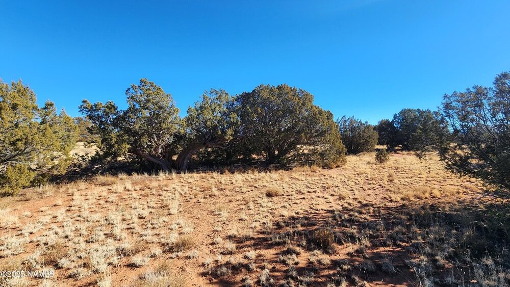Photo of Mobile Home Lot