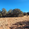 Photo of Mobile Home Lot